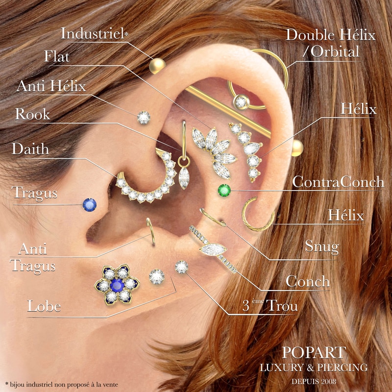 Source :&nbsp;https://popartpiercing.com/blog/noms-piercings-oreille-n34